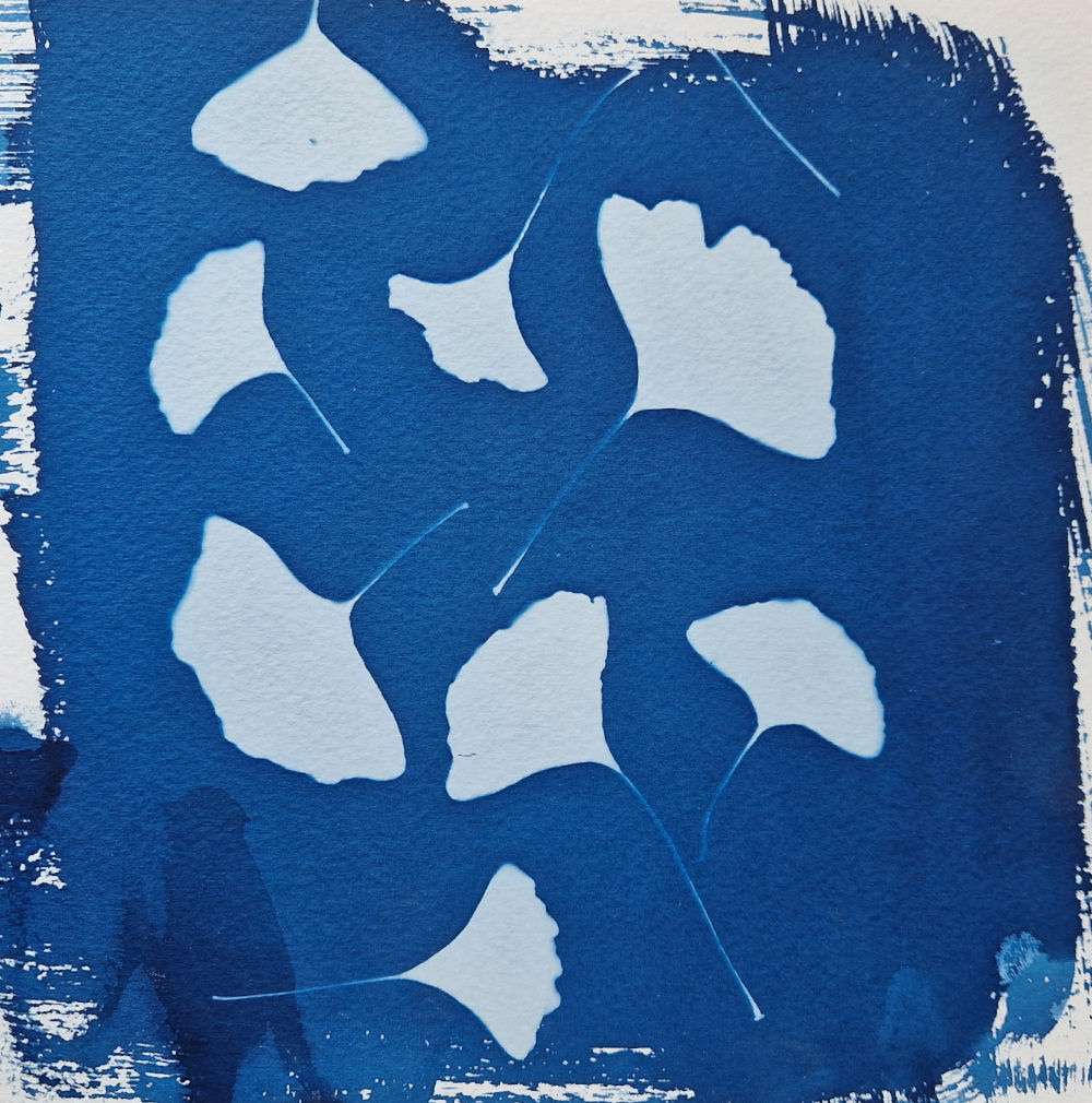Workshop FOTOGRAFIE – Cyanotype afdrukken