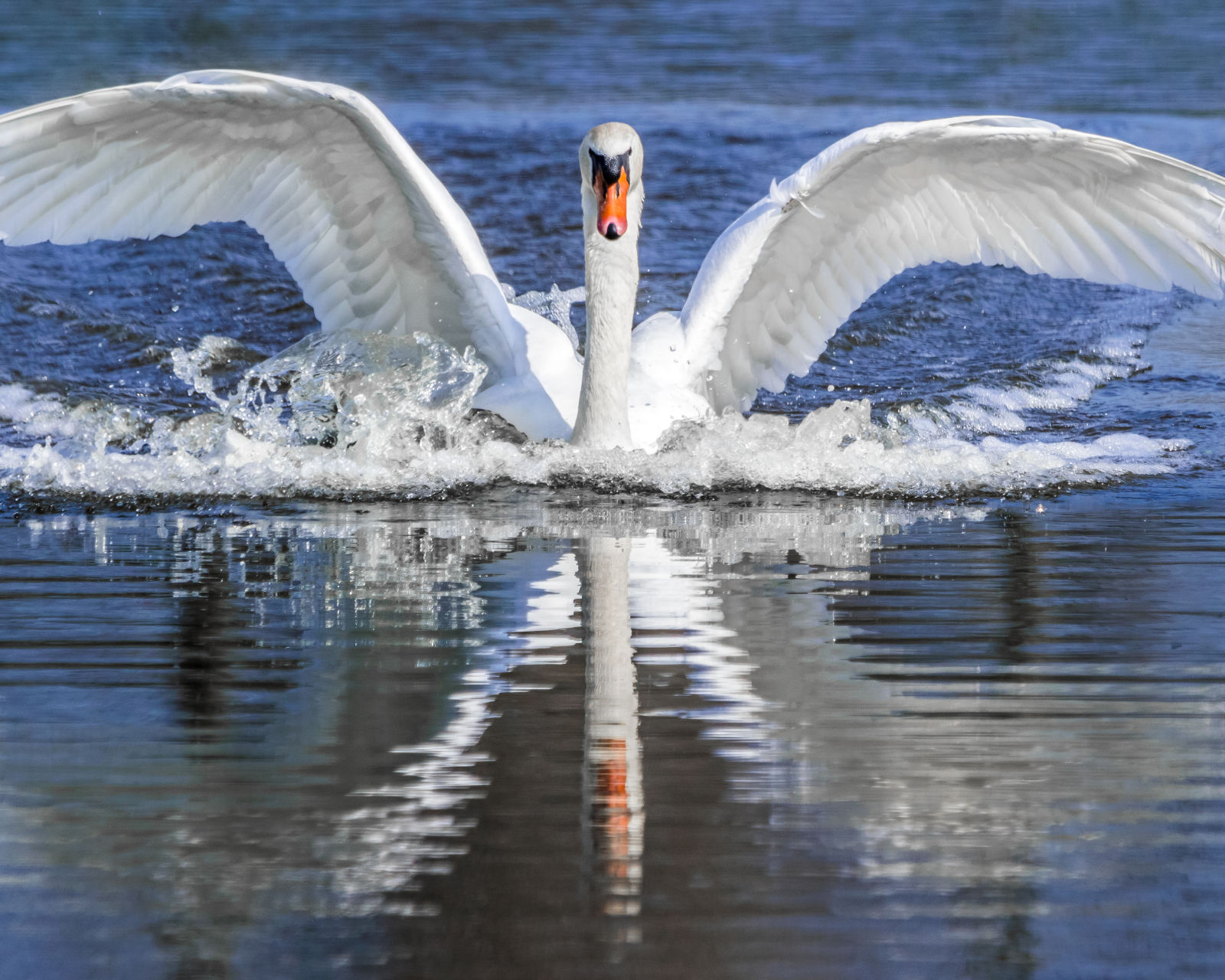 Expositie Jasmijn Fotografeert