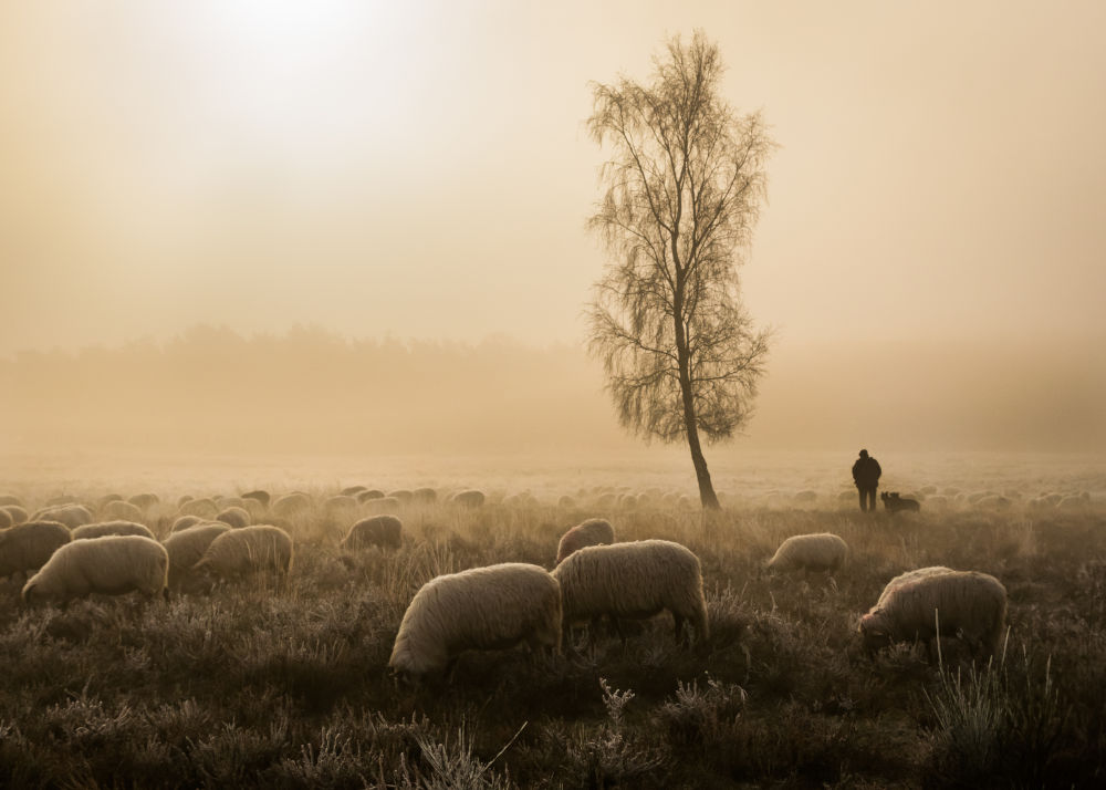 Basiscursus Fotografie