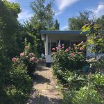 Workshop Schrijven in de natuur