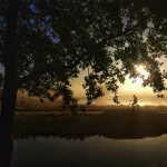 Workshop Smartphone fotografie