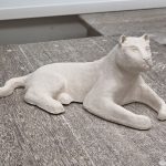 Workshop ARTIS, van schets tot dierplastiek