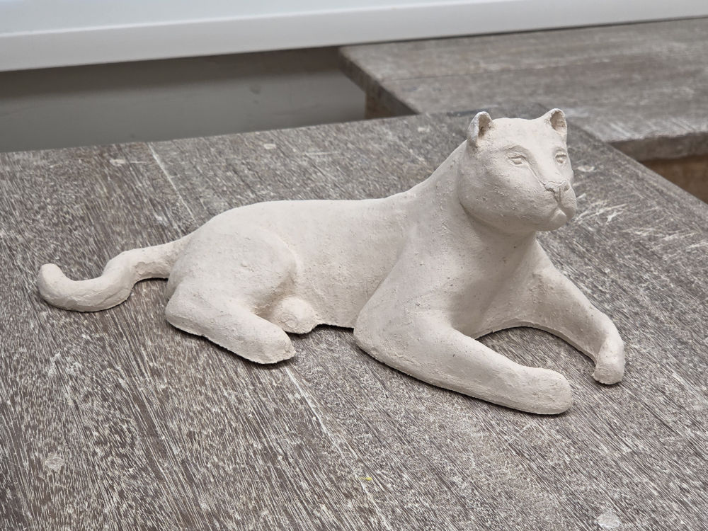 Workshop ARTIS, van schets tot dierplastiek