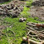 Workshop Ontdek en maak Landart (14+)