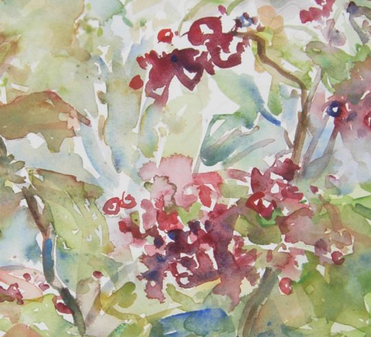 Workshop Plantenmarkt tekenen