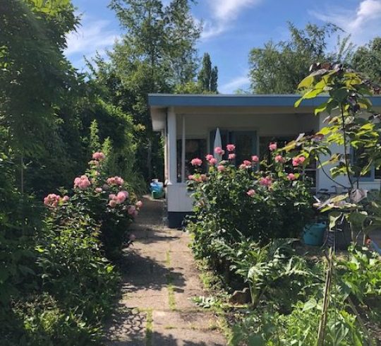 Workshop Schrijven in de natuur