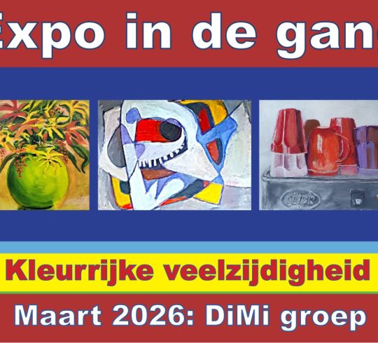 Expositie DIMI groep 2026