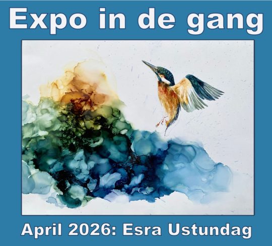 Expositie Esra Ustundag