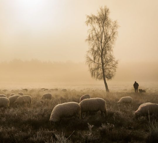 Basiscursus Fotografie