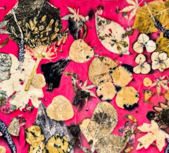 Workshop Ecoprinten op leer