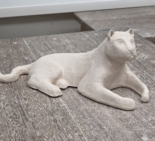 Workshop ARTIS, van schets tot dierplastiek