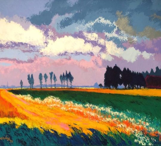 Workshop Expressief landschap