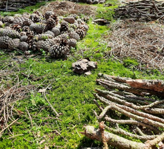 Workshop Ontdek en maak Landart (14+)